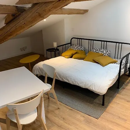 Apartment Studio Refait A Neuf Avec Exterieur Saint-Etienne (Loire)